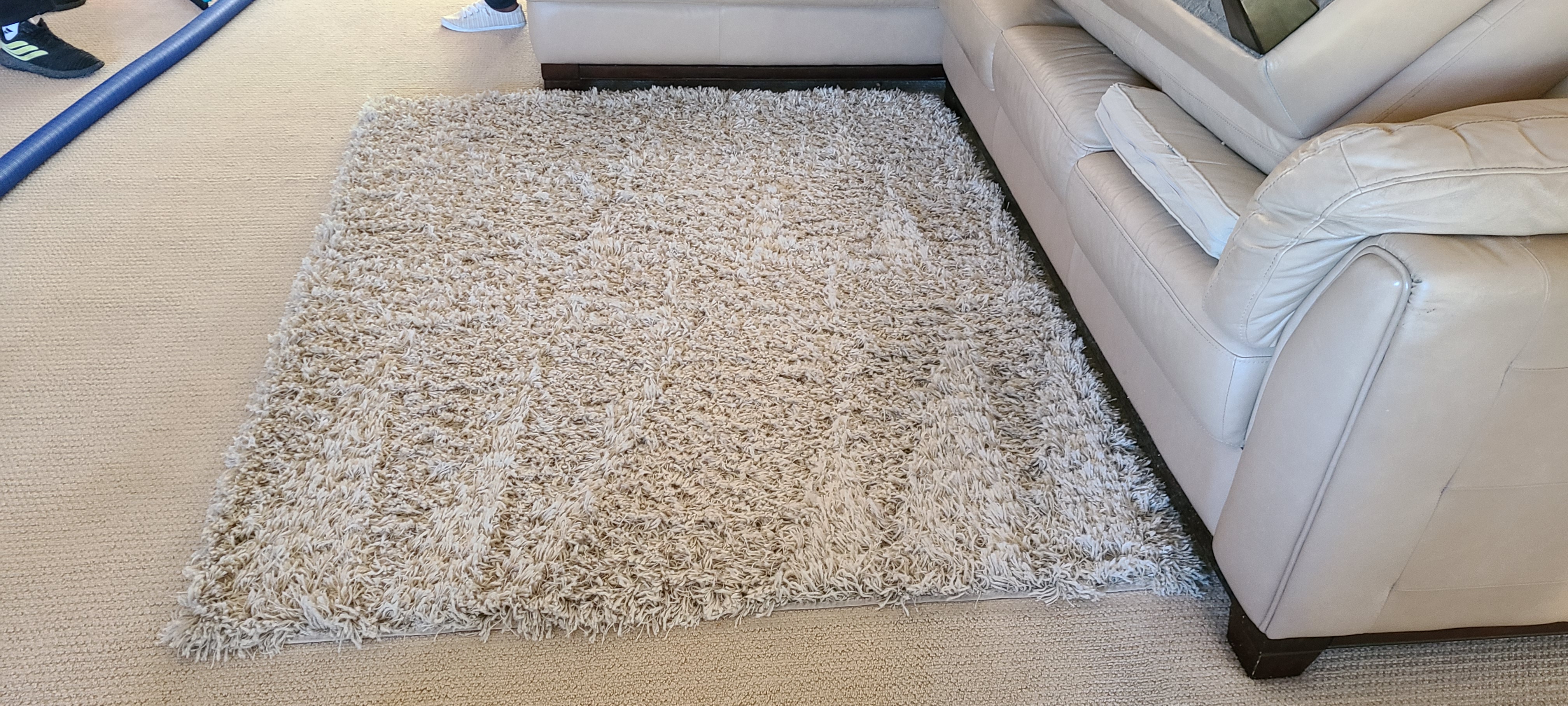 clean area rug