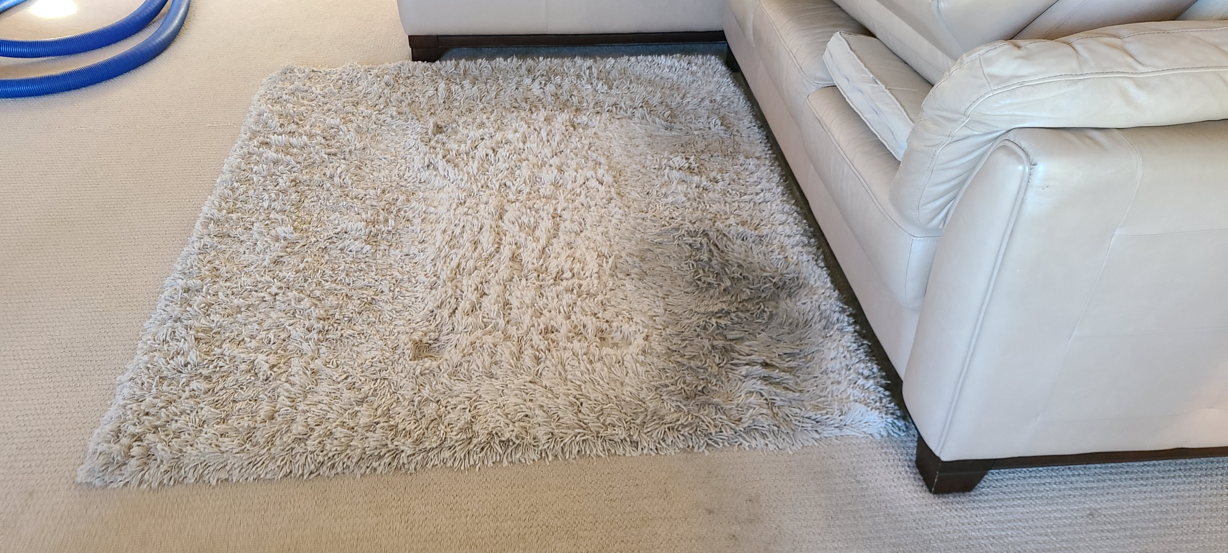 dirty area rug