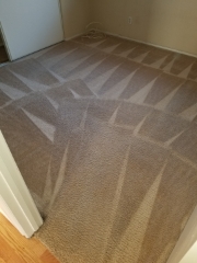 carpet after stain removal